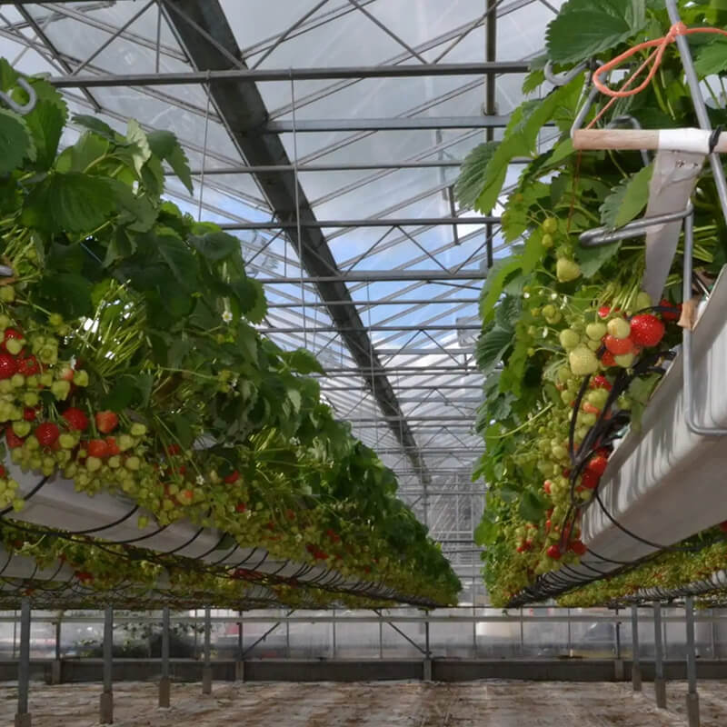 Irrigation