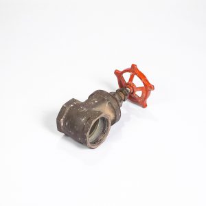 GATE VALVE 3 BRASS PN10-16 2X FEMALE DN20/26.9